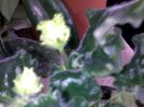 050420152352