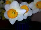 050420152363