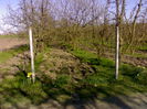 090420153891