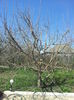 20150409_134116