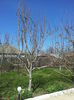 20150409_134120