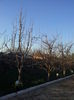20150409_190207