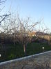 20150409_190227