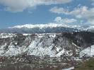 DSCF0248