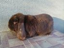 IMG_20150409_182648