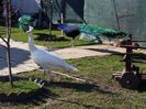 20150410_163325