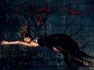 Tvd (4)