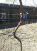 20150410_113651