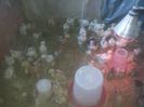 20150411_100431