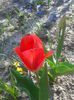 20150411_162502