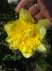 20150411_162628