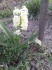 IMG_20150411_195027