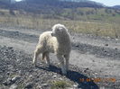 DSCN3537