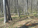 DSCN3681