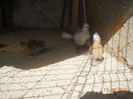 DSCN5278