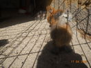 DSCN5287
