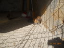 DSCN5289