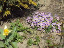 DSC05731
