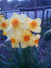 IMG_20150412_195917