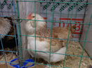 DSCN3822