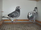 DSCF9373