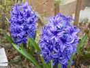 13 apr. 060