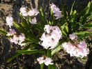 P1210853