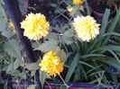20150413_185400