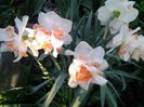 20150413_185202