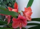 20150412_121029