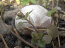 P3250274
