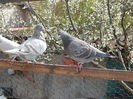 DSCN9802