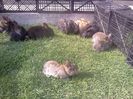 IMG1210