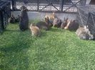 IMG1211