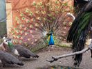20150227_102434