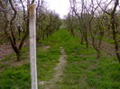 140420153912
