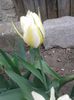20150414_101803