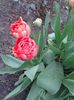 20150414_093713