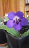 20150330_114336