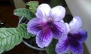 20150407_104915