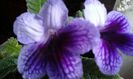 20150407_104947
