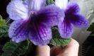 20150407_104948