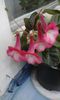 20150414_123553