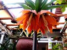 20150414_095702