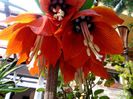 20150414_095715