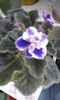 20150413_114018