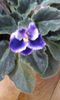 20150413_114105