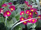 20150414_095558