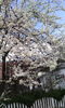IMG_20150414_134052[1]