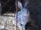 2015-04-13 10.36.12